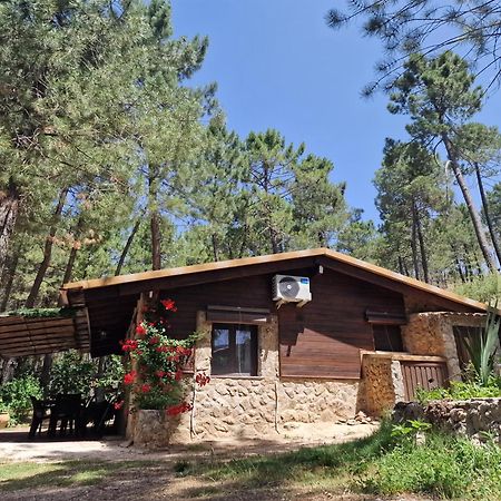 Cabana En Plena Naturaleza Parque Natural Rio Mundo Riópar Екстериор снимка