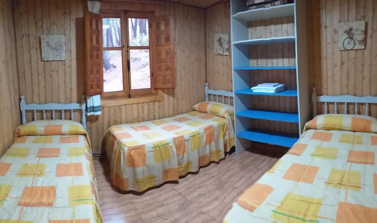 Cabana En Plena Naturaleza Parque Natural Rio Mundo Riópar Екстериор снимка