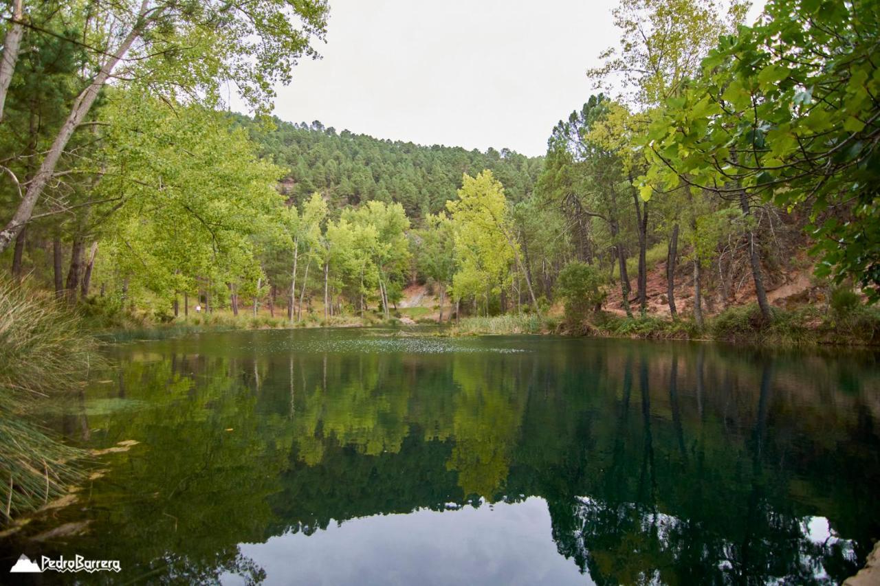 Cabana En Plena Naturaleza Parque Natural Rio Mundo Riópar Екстериор снимка