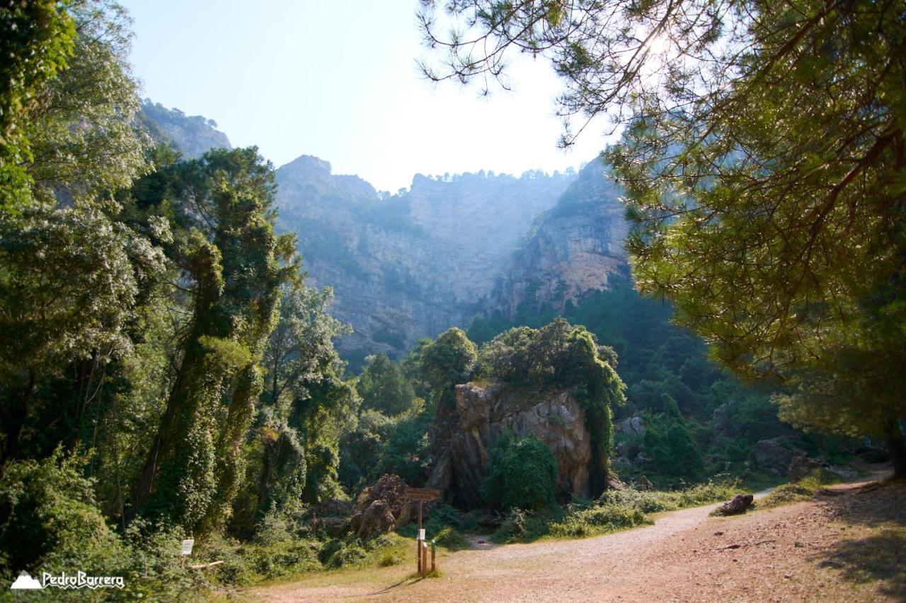 Cabana En Plena Naturaleza Parque Natural Rio Mundo Riópar Екстериор снимка