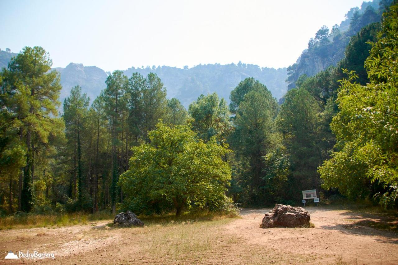 Cabana En Plena Naturaleza Parque Natural Rio Mundo Riópar Екстериор снимка
