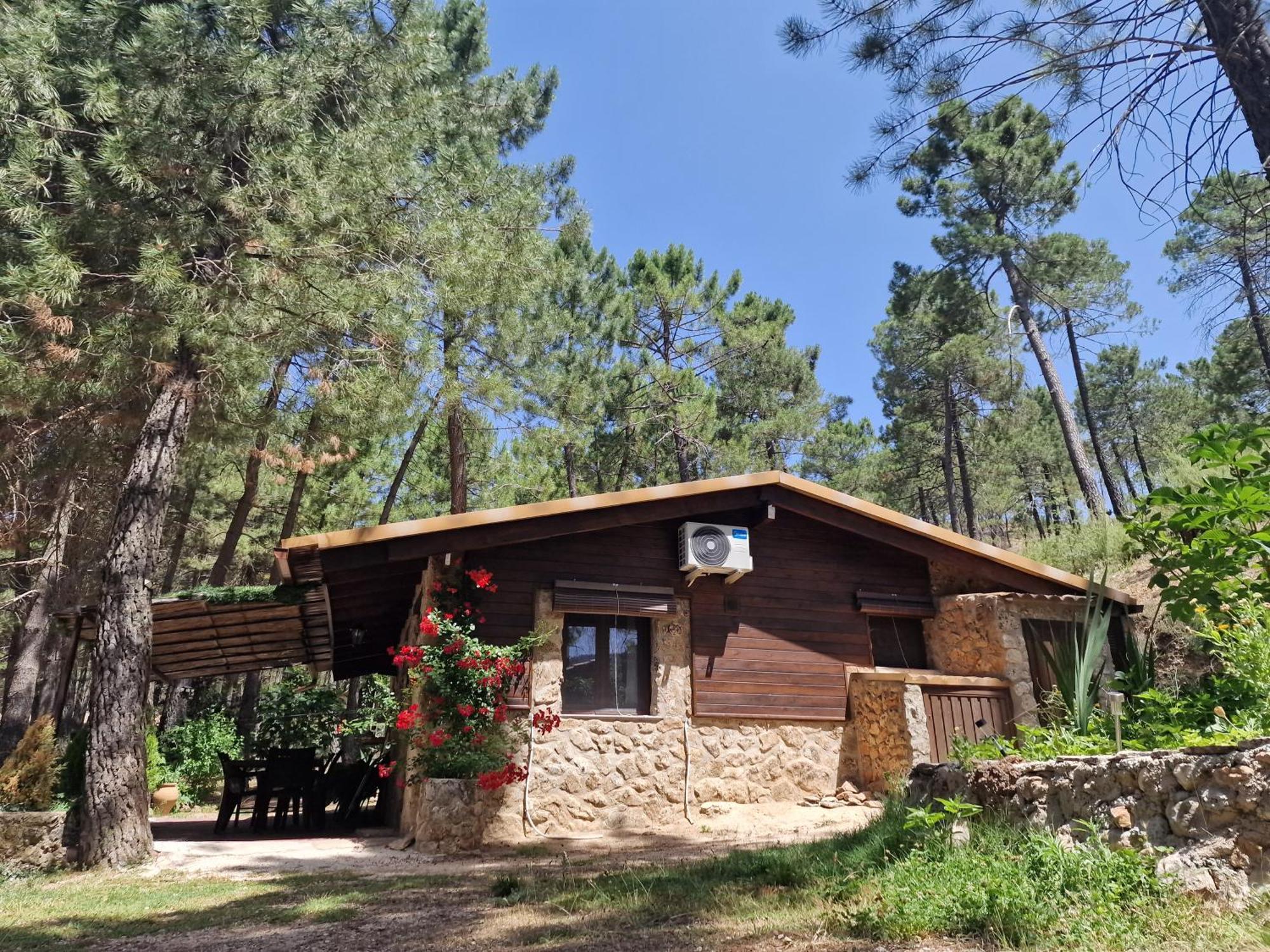 Cabana En Plena Naturaleza Parque Natural Rio Mundo Riópar Екстериор снимка