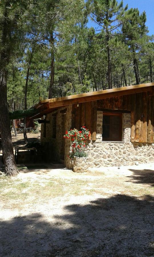 Cabana En Plena Naturaleza Parque Natural Rio Mundo Riópar Екстериор снимка