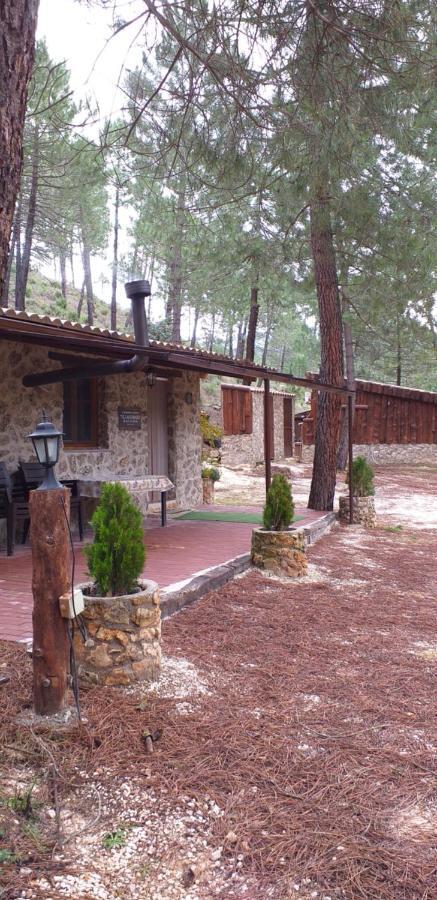 Cabana En Plena Naturaleza Parque Natural Rio Mundo Riópar Екстериор снимка